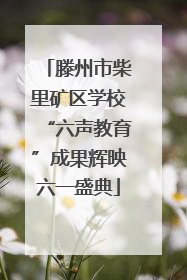 滕州市柴里矿区学校“六声教育”成果辉映六一盛典