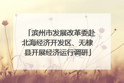 滨州市发展改革委赴北海经济开发区、无棣县开展经济运行调研