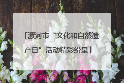 漯河市“文化和自然遗产日”活动精彩纷呈