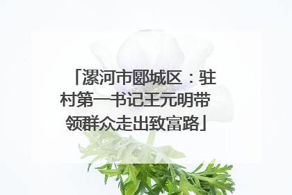 漯河市郾城区：驻村第一书记王元明带领群众走出致富路