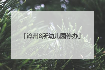 漳州8所幼儿园停办