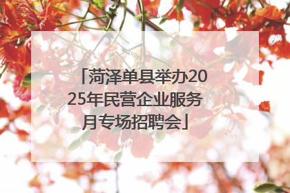 菏泽单县举办2025年民营企业服务月专场招聘会