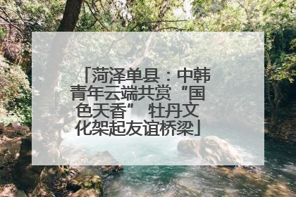 菏泽单县：中韩青年云端共赏“国色天香” 牡丹文化架起友谊桥梁