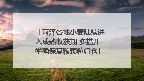 菏泽各地小麦陆续进入成熟收获期 多措并举确保夏粮颗粒归仓