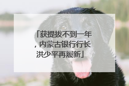 获提拔不到一年，内蒙古银行行长洪少平再履新