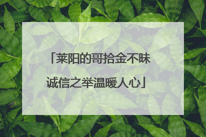莱阳的哥拾金不昧 诚信之举温暖人心