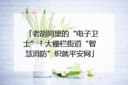 老胡同里的“电子卫士”！大栅栏街道“智慧消防”织就平安网