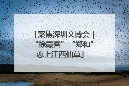 聚焦深圳文博会｜“徐霞客”“郑和”恋上江西仙草
