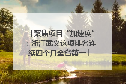 聚焦项目“加速度”：浙江武义这项排名连续四个月全省第一