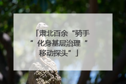 肃北百余“骑手”化身基层治理“移动探头”