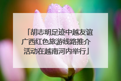 胡志明足迹中越友谊广西红色旅游线路推介活动在越南河内举行