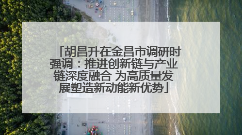 胡昌升在金昌市调研时强调：推进创新链与产业链深度融合 为高质量发展塑造新动能新优势