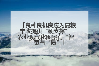 良种良机良法为夏粮丰收提供“硬支撑” 农业现代化图景有“智”更有“质”