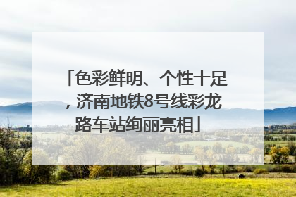 色彩鲜明、个性十足，济南地铁8号线彩龙路车站绚丽亮相