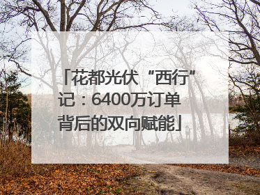 花都光伏“西行”记：6400万订单背后的双向赋能