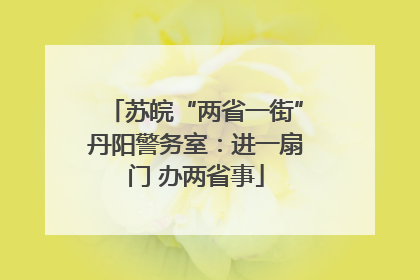 苏皖“两省一街”丹阳警务室：进一扇门 办两省事
