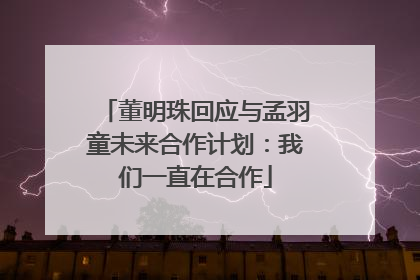 董明珠回应与孟羽童未来合作计划：我们一直在合作