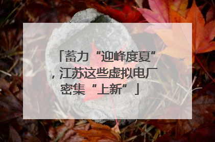蓄力“迎峰度夏”，江苏这些虚拟电厂密集“上新”