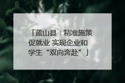 蓝山县：精准施策促就业 实现企业和学生“双向奔赴”