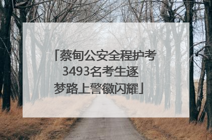 蔡甸公安全程护考 3493名考生逐梦路上警徽闪耀