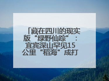 藏在四川的现实版“绿野仙踪”：宜宾深山罕见15公里“稻海”成打卡新地标