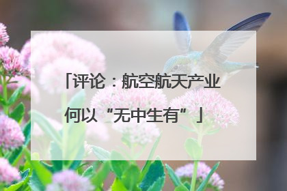 评论：航空航天产业何以“无中生有”
