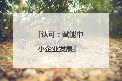 认可：赋能中小企业发展