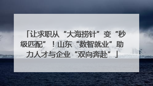 让求职从“大海捞针”变“秒级匹配”！山东“数智就业”助力人才与企业“双向奔赴”