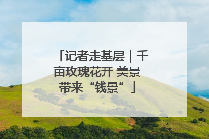 记者走基层｜千亩玫瑰花开 美景带来“钱景”