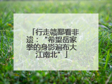 行走赣鄱看非遗：“希望岳家拳的身影遍布大江南北”