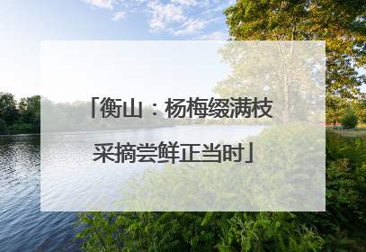 衡山：杨梅缀满枝 采摘尝鲜正当时