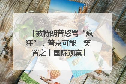 被特朗普怒骂“疯狂”，普京可能一笑置之丨国际观察