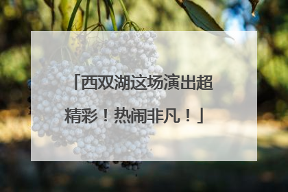 西双湖这场演出超精彩！热闹非凡！