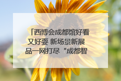 西博会成都馆好看又好耍 新场景新展品一网打尽“成都智造”｜西博视界