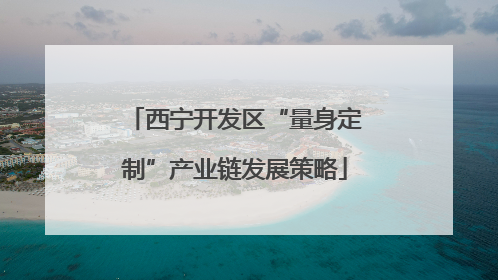 西宁开发区“量身定制”产业链发展策略