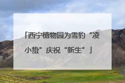 西宁植物园为雪豹“凌小蛰”庆祝“新生”