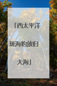 西太平洋斑海豹放归大海