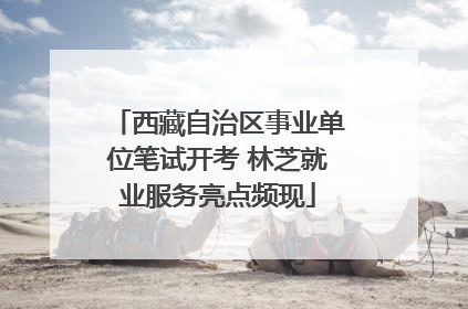 西藏自治区事业单位笔试开考 林芝就业服务亮点频现