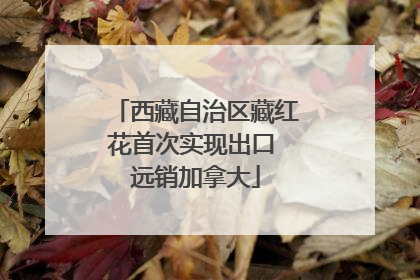 西藏自治区藏红花首次实现出口 远销加拿大