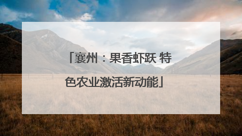襄州：果香虾跃 特色农业激活新动能