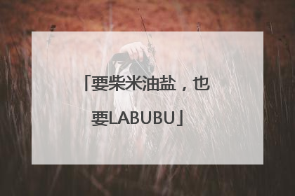 要柴米油盐，也要LABUBU
