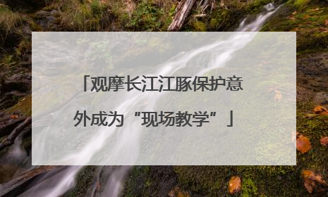 观摩长江江豚保护意外成为“现场教学”