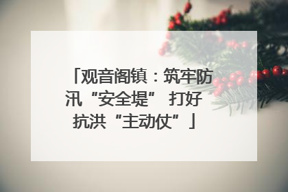 观音阁镇：筑牢防汛“安全堤” 打好抗洪“主动仗”