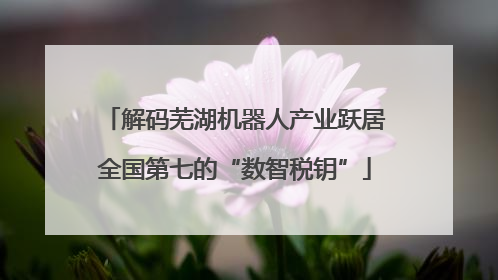 解码芜湖机器人产业跃居全国第七的“数智税钥”