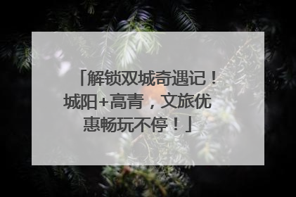 解锁双城奇遇记！城阳+高青，文旅优惠畅玩不停！