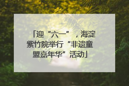 迎“六一”，海淀紫竹院举行“非遗童盟嘉年华”活动