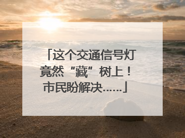 这个交通信号灯竟然“藏”树上！市民盼解决……