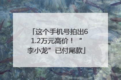 这个手机号拍出61.2万元高价！“李小龙”已付尾款