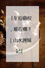 车位确权，难在哪？｜山水洲城记