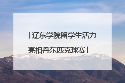 辽东学院留学生活力亮相丹东匹克球赛